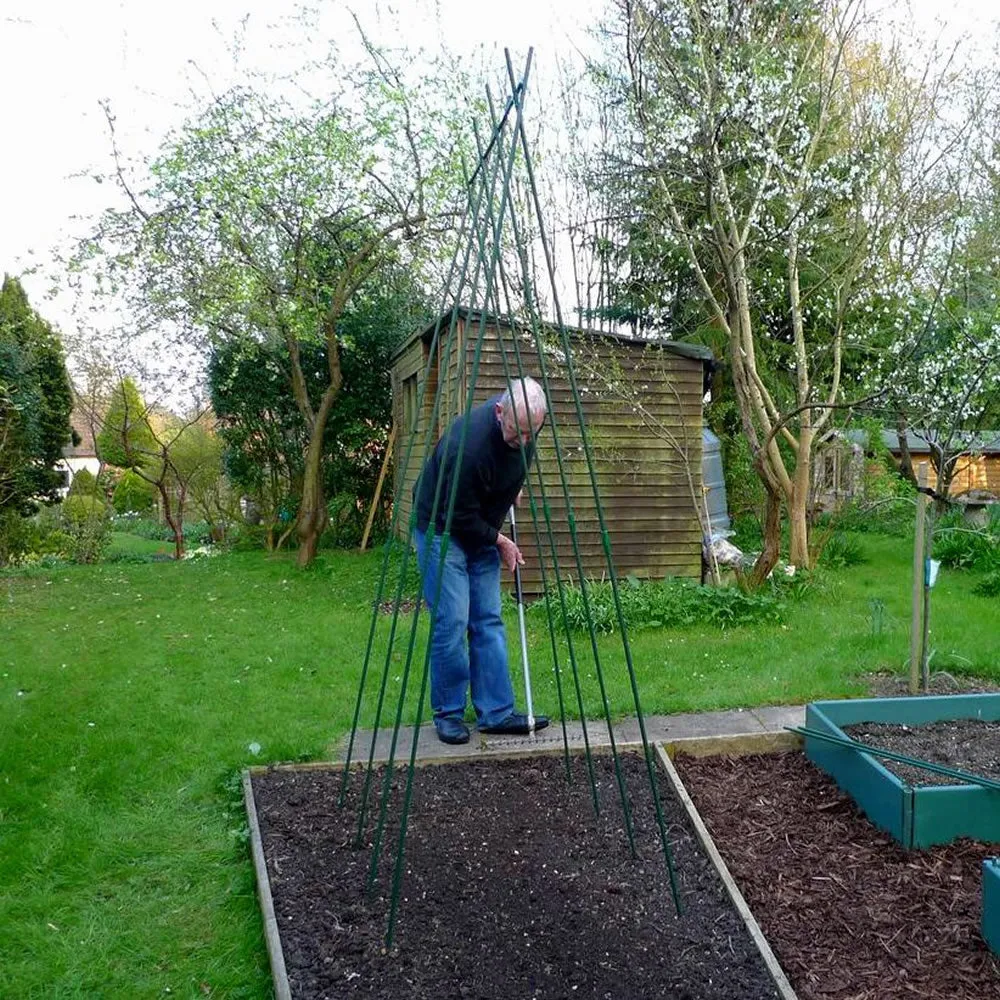 Easy Grow Runner Bean Frame & Climbing Plant Support Trellis