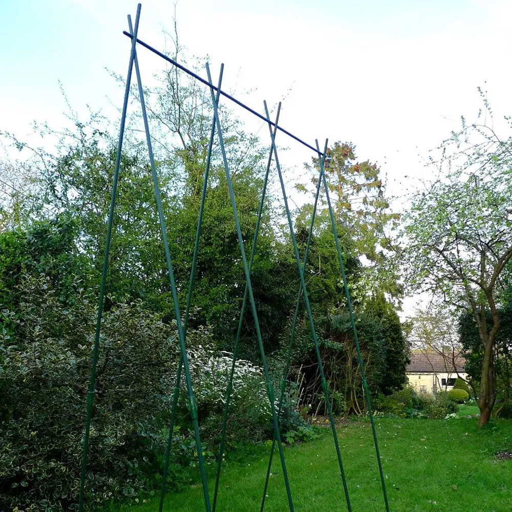 Easy Grow Runner Bean Frame & Climbing Plant Support Trellis