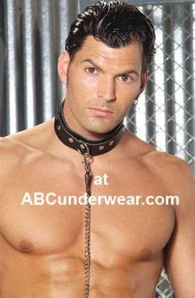 Leather Collar - Clearance